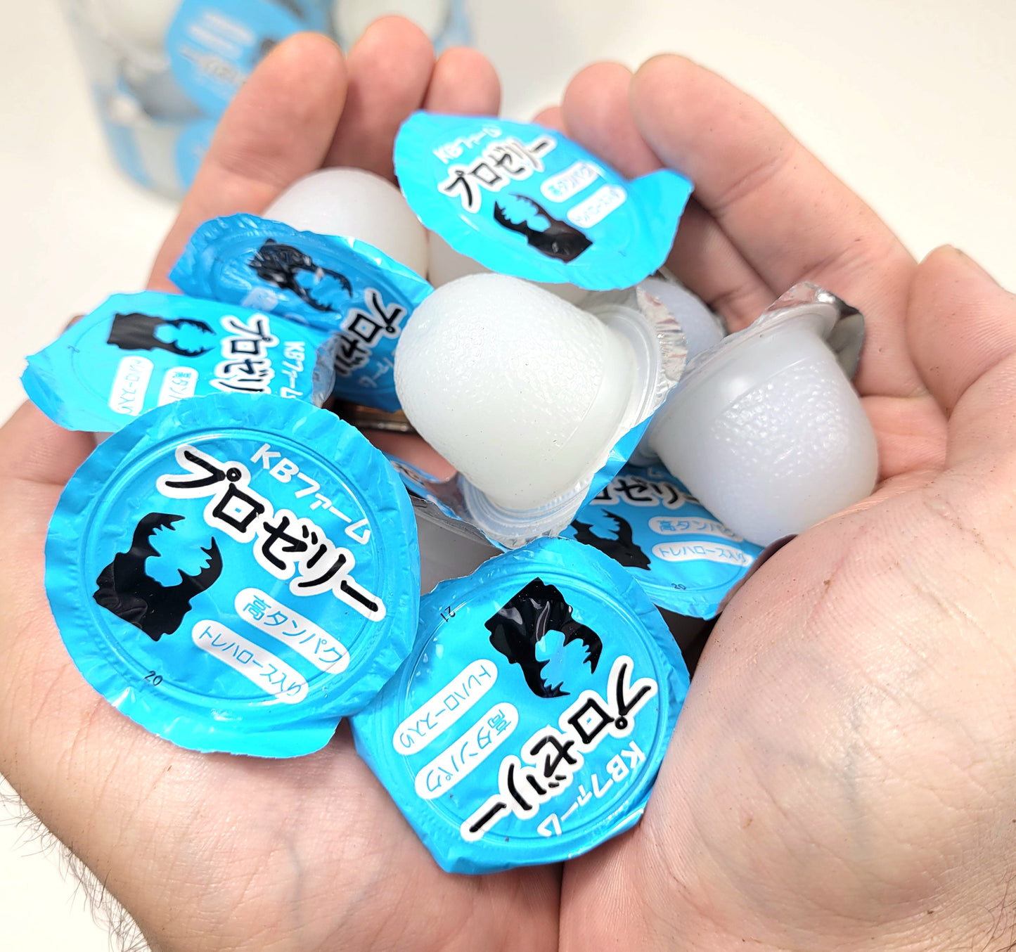 order insects online