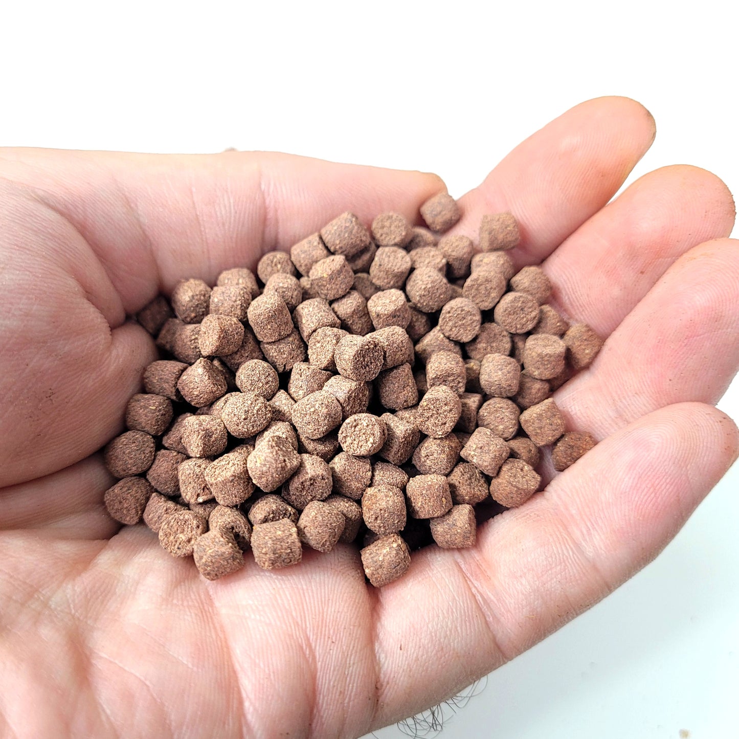 Koi Food Pellets (Goliath beetle Larvae food)