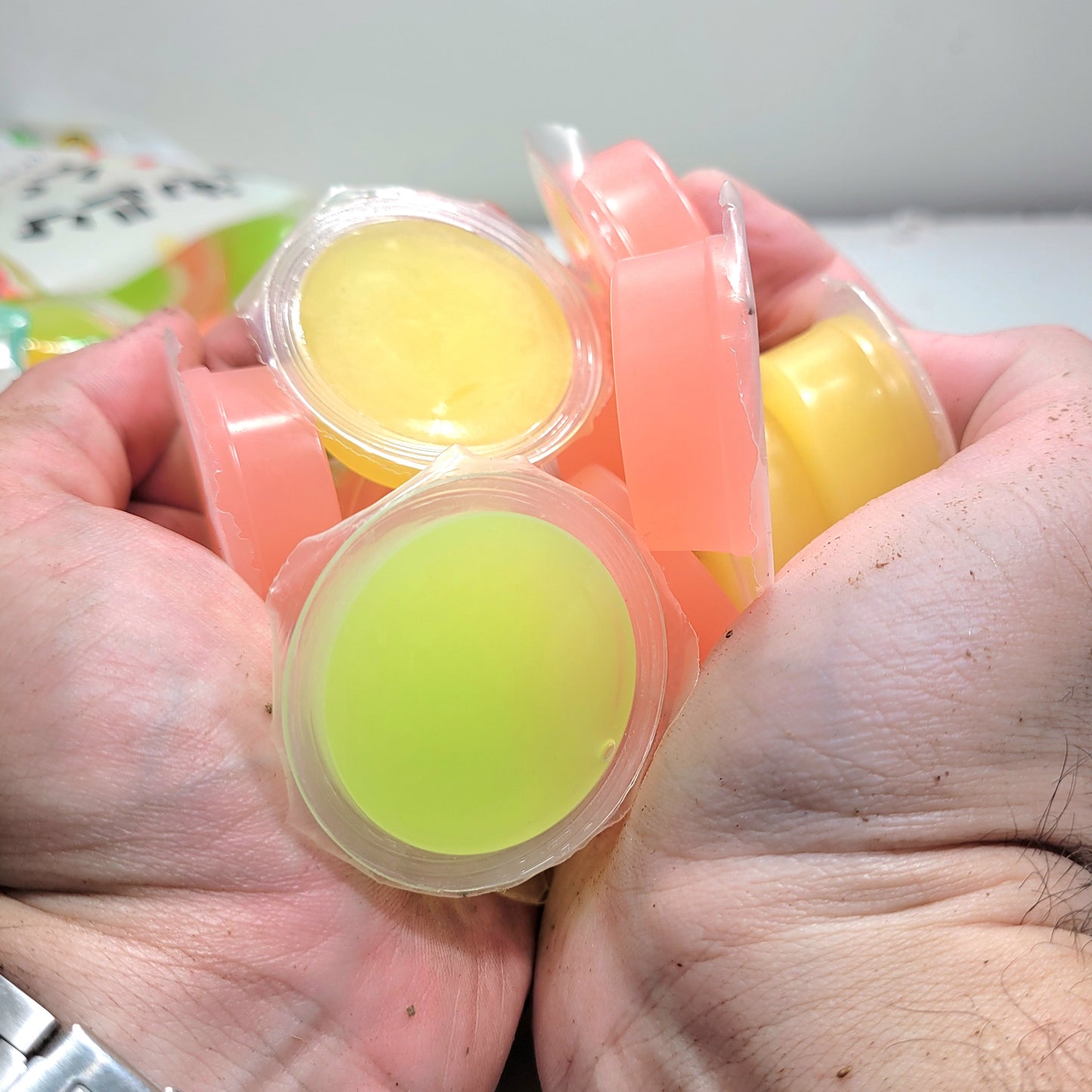 Beetle Jelly