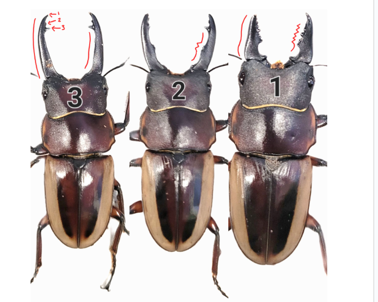 Major? Minor? What's the difference?