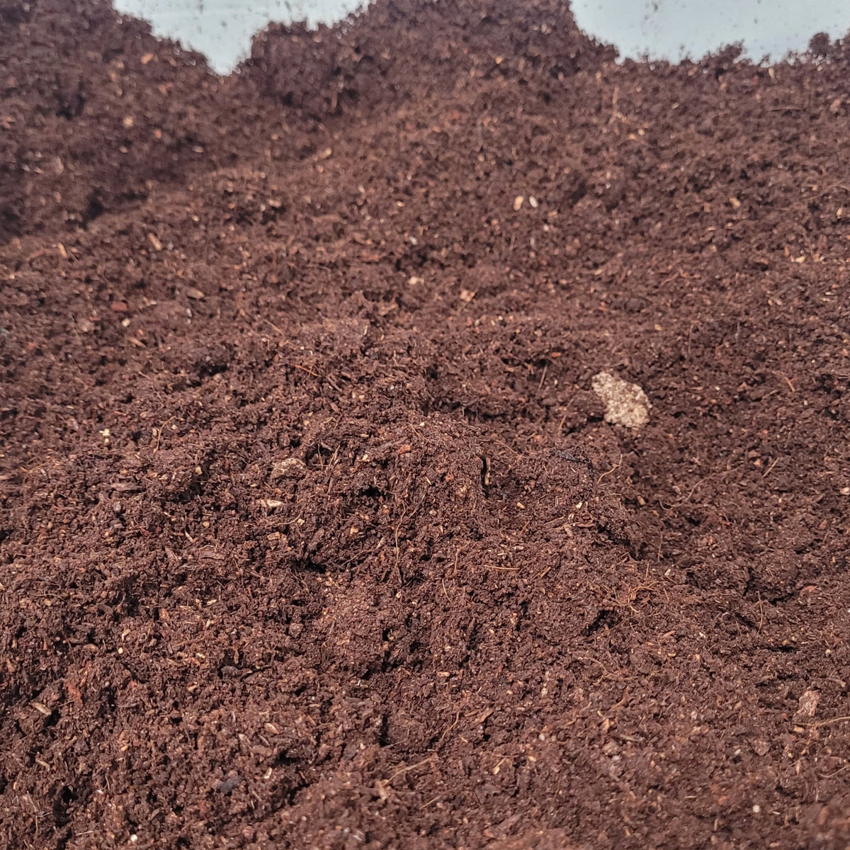 Substrate Insect Goliath Beetle LARVAE substrate – James' Beetle Farm