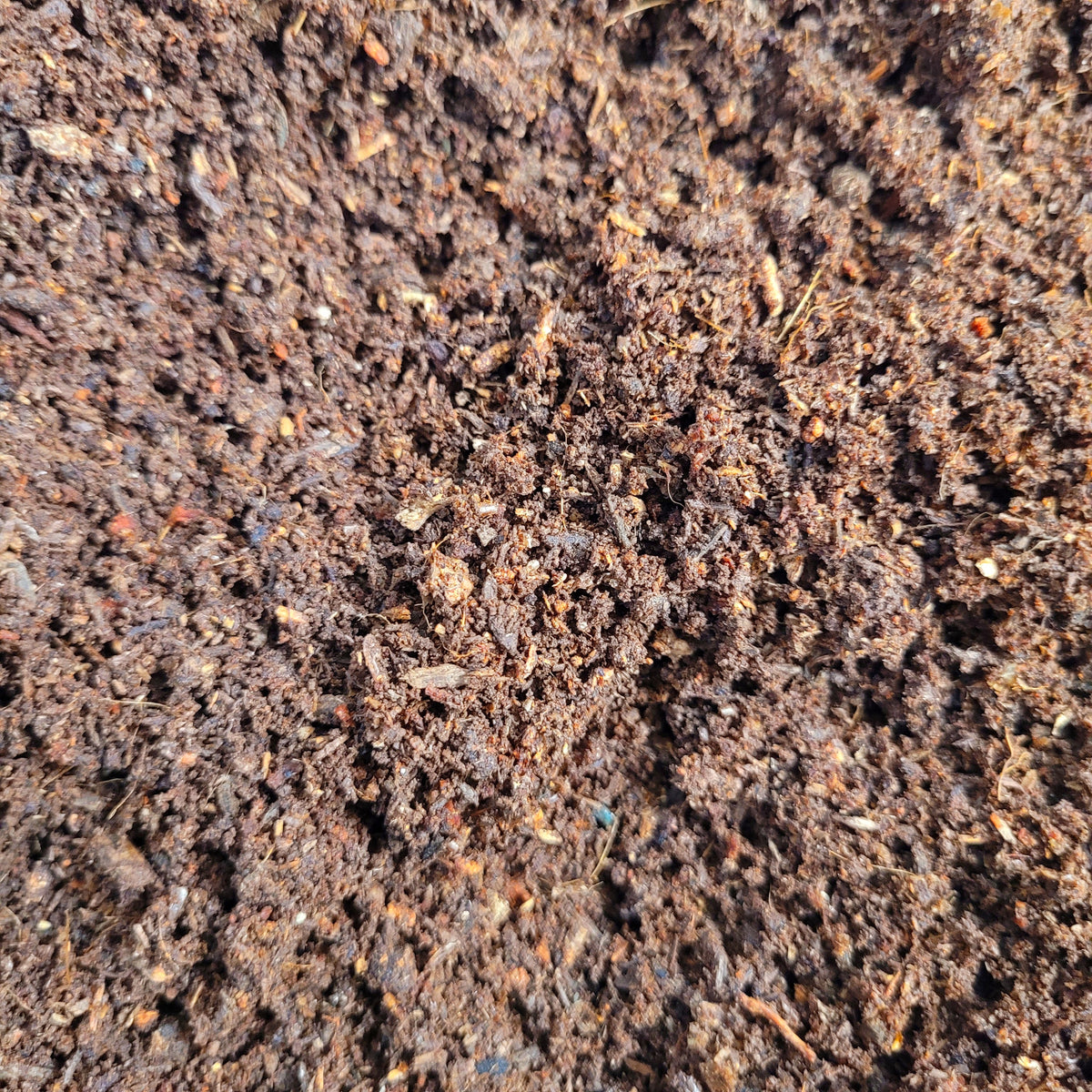 Substrate Insect Goliath Beetle LARVAE substrate – James' Beetle Farm