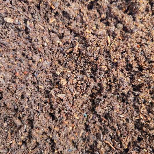 Goliath Beetle LARVAE substrate