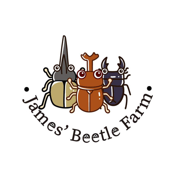 James' Beetle Farm